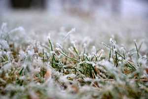 Przygotowanie trawnika do zimy - jak powinno przebiegać?